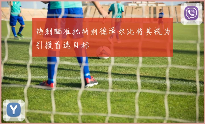 热刺瞄准托纳利德泽尔比将其视为引援首选目标